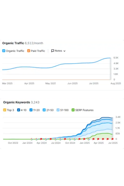 Keywords by search intent and position distribution report