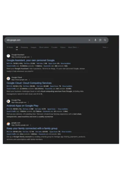 Crawl report of a website before launch